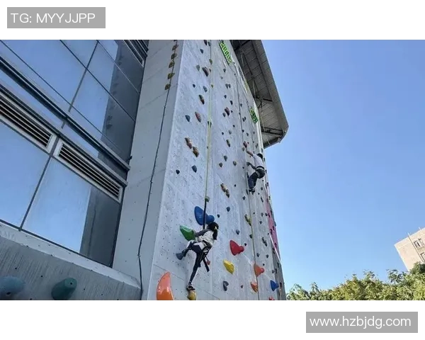 广州攀岩队团队协作探索：攀登高峰中的默契与信任之旅