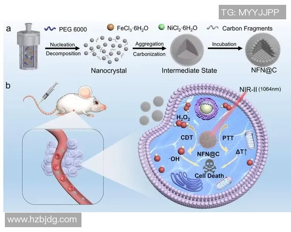 数据分析揭示EDG团队协作表现的关键因素与提升策略