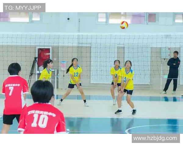 排球新手必看：提升比赛意识的全面入门攻略与技巧分享