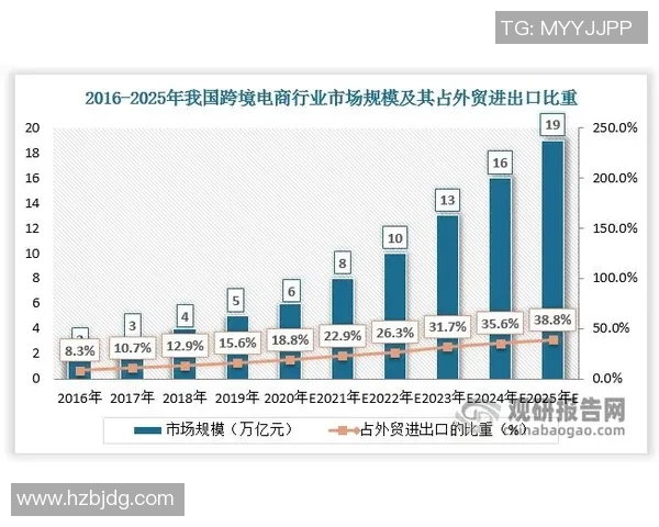 深圳羽毛球队的成功运营策略与发展模式深度分析